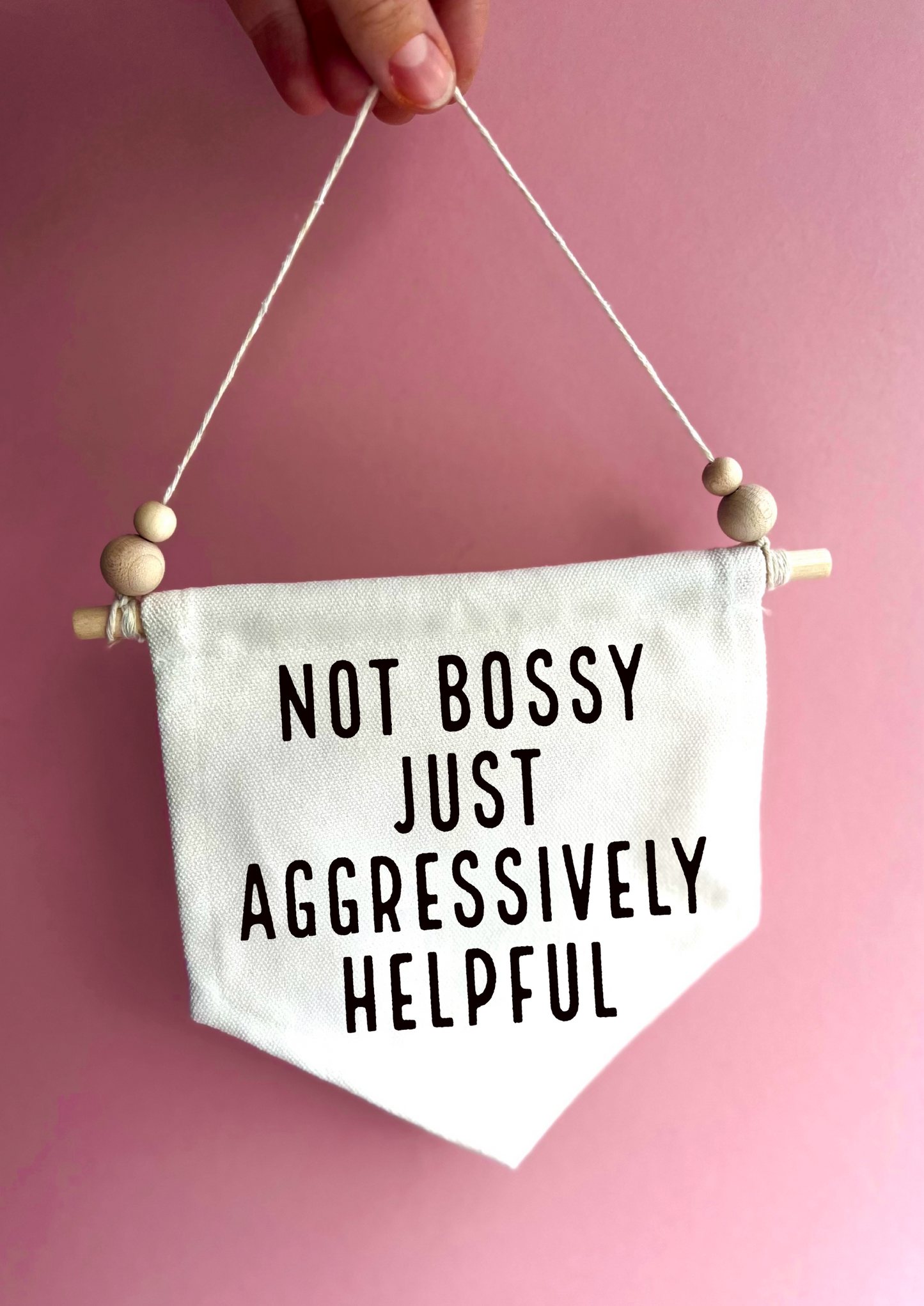 Aggressively Helpful Canvas Hanging Banner